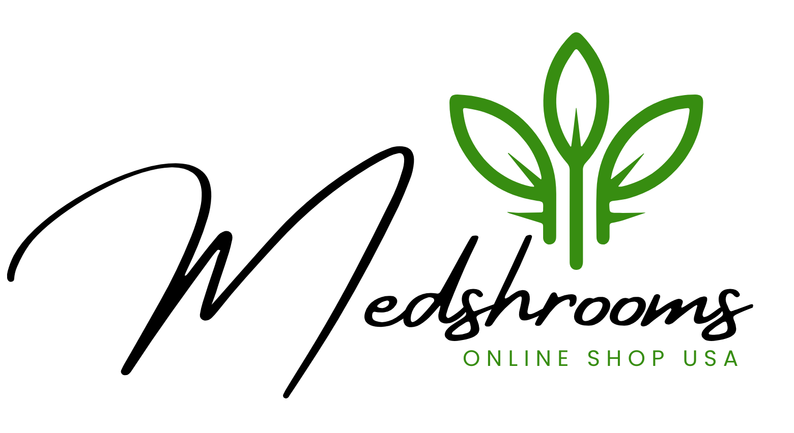 cropped-logo2.png